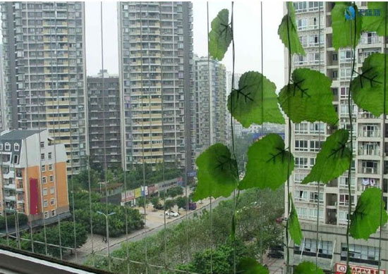 Lưới bảo vệ ban công - LBV1
